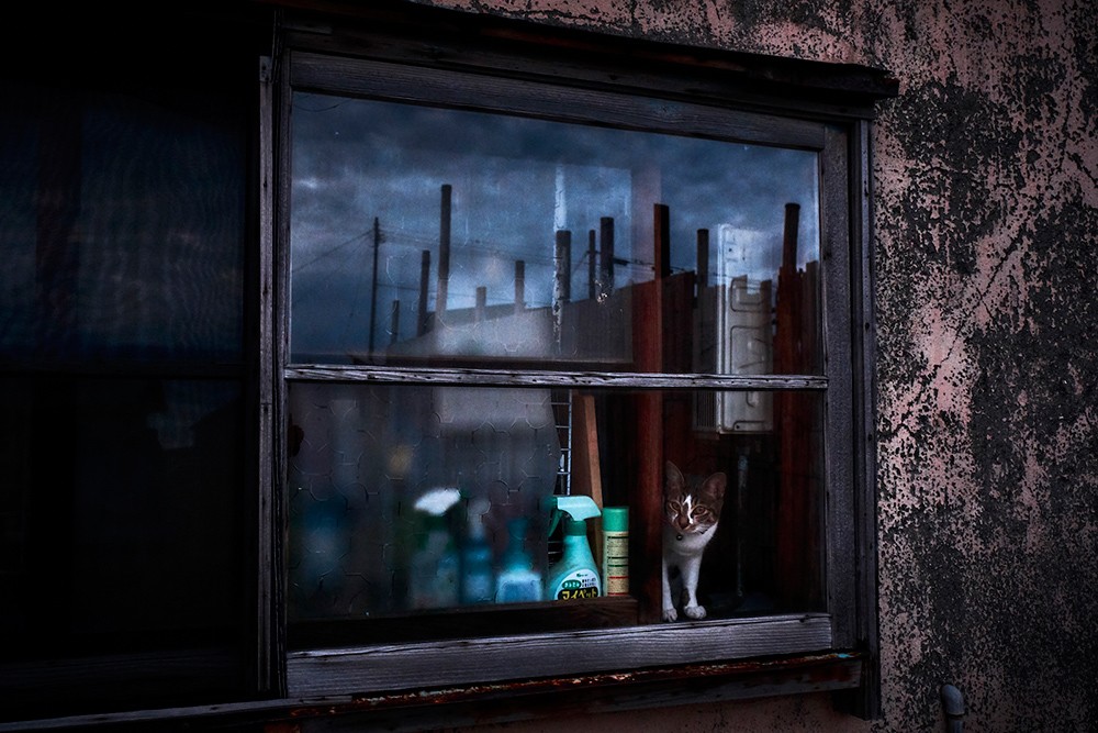 By The Sea (Yasuhiro Ogawa)