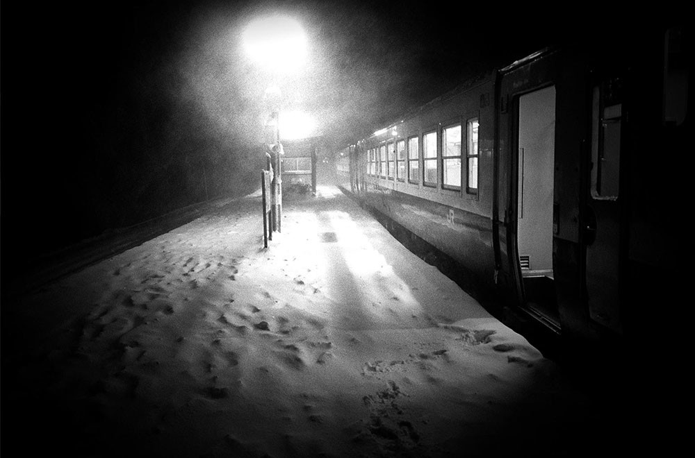 The Dreaming (Yasuhiro Ogawa)