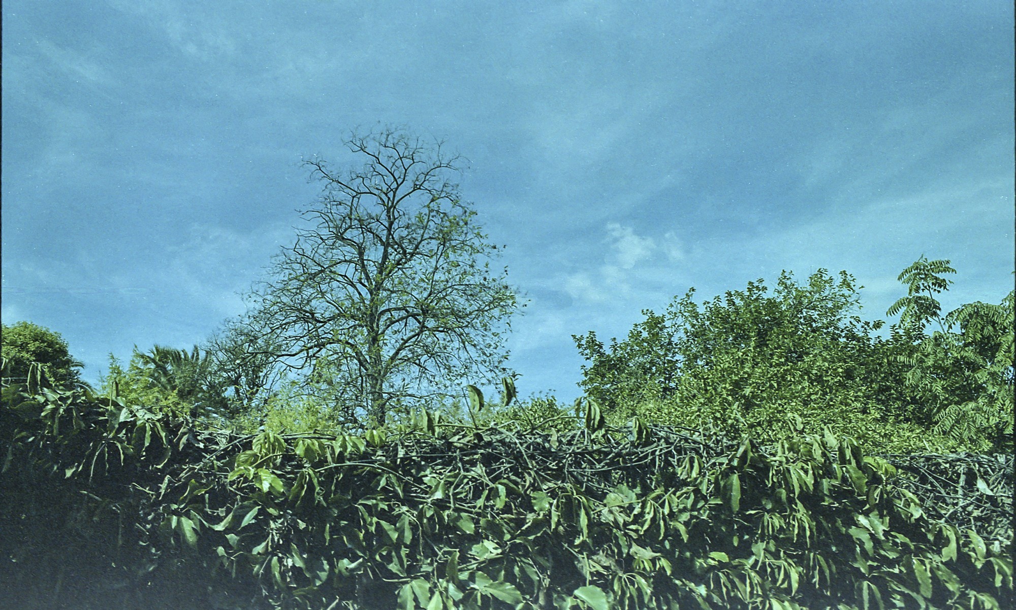 Carrete caducado KODACOLOR VR PLUS 200