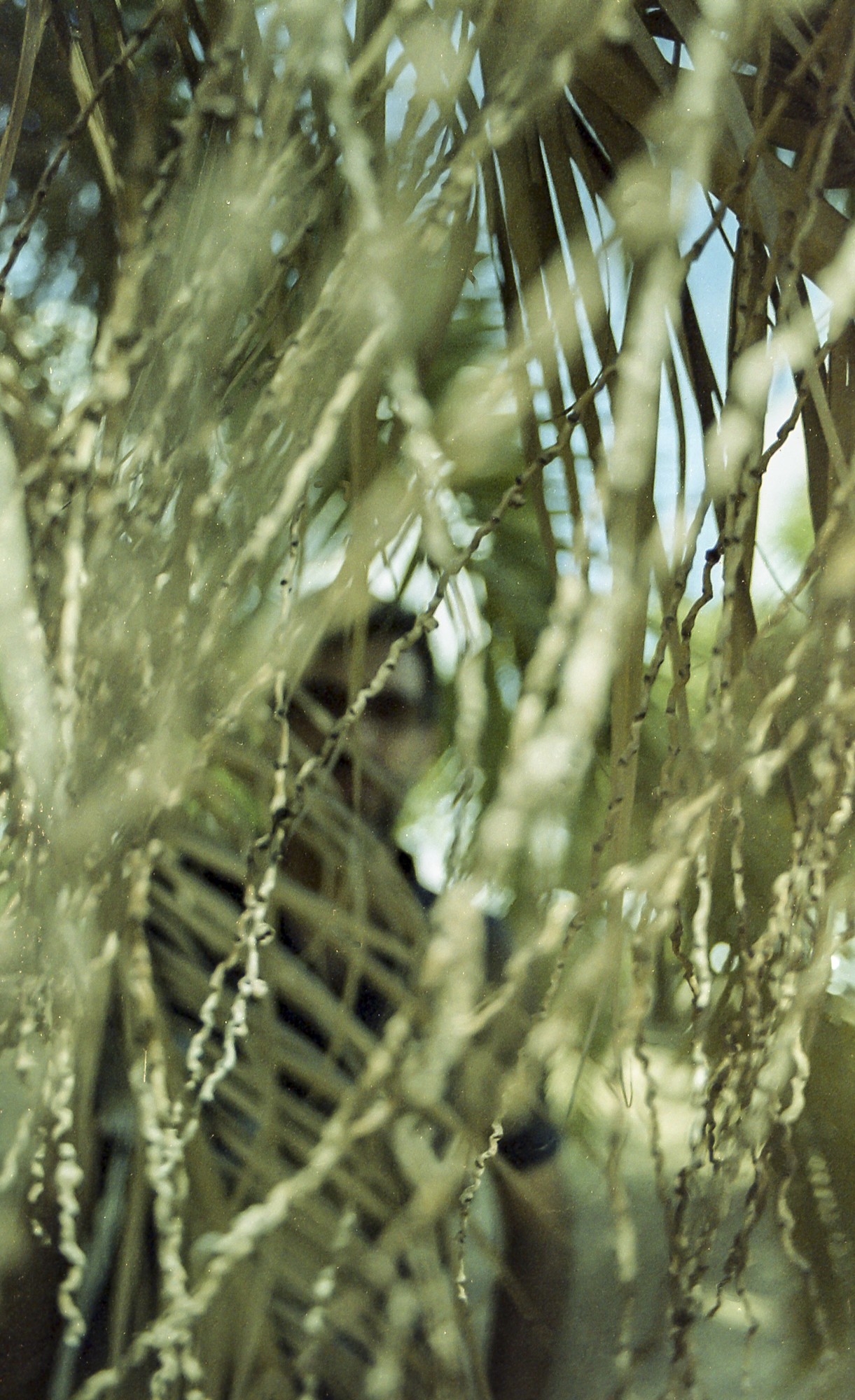 Carrete caducado KODACOLOR VR PLUS 200