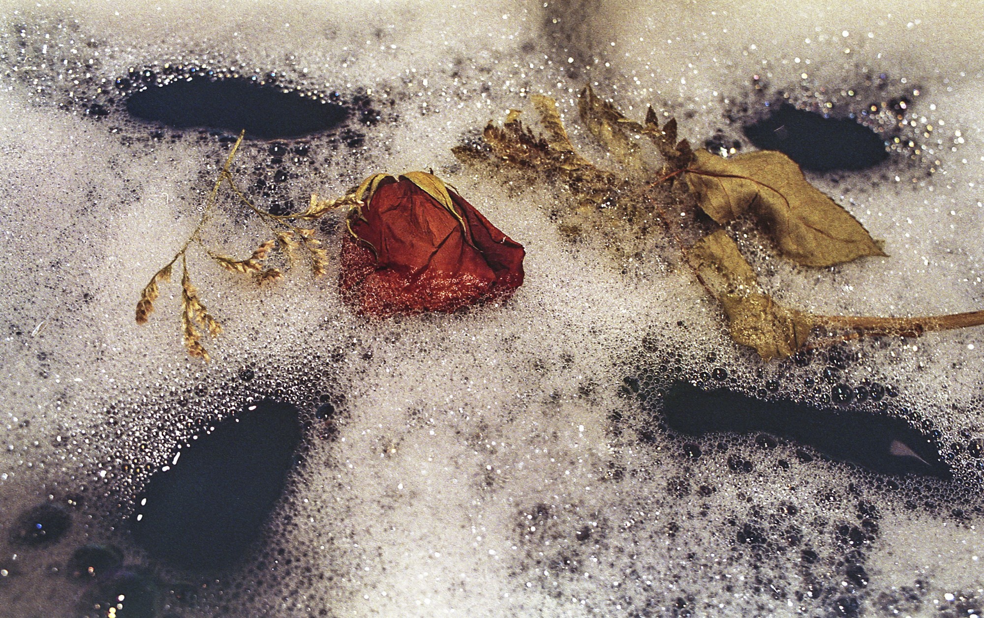 Fujicolor 200 Luces, sombras, reflejos.