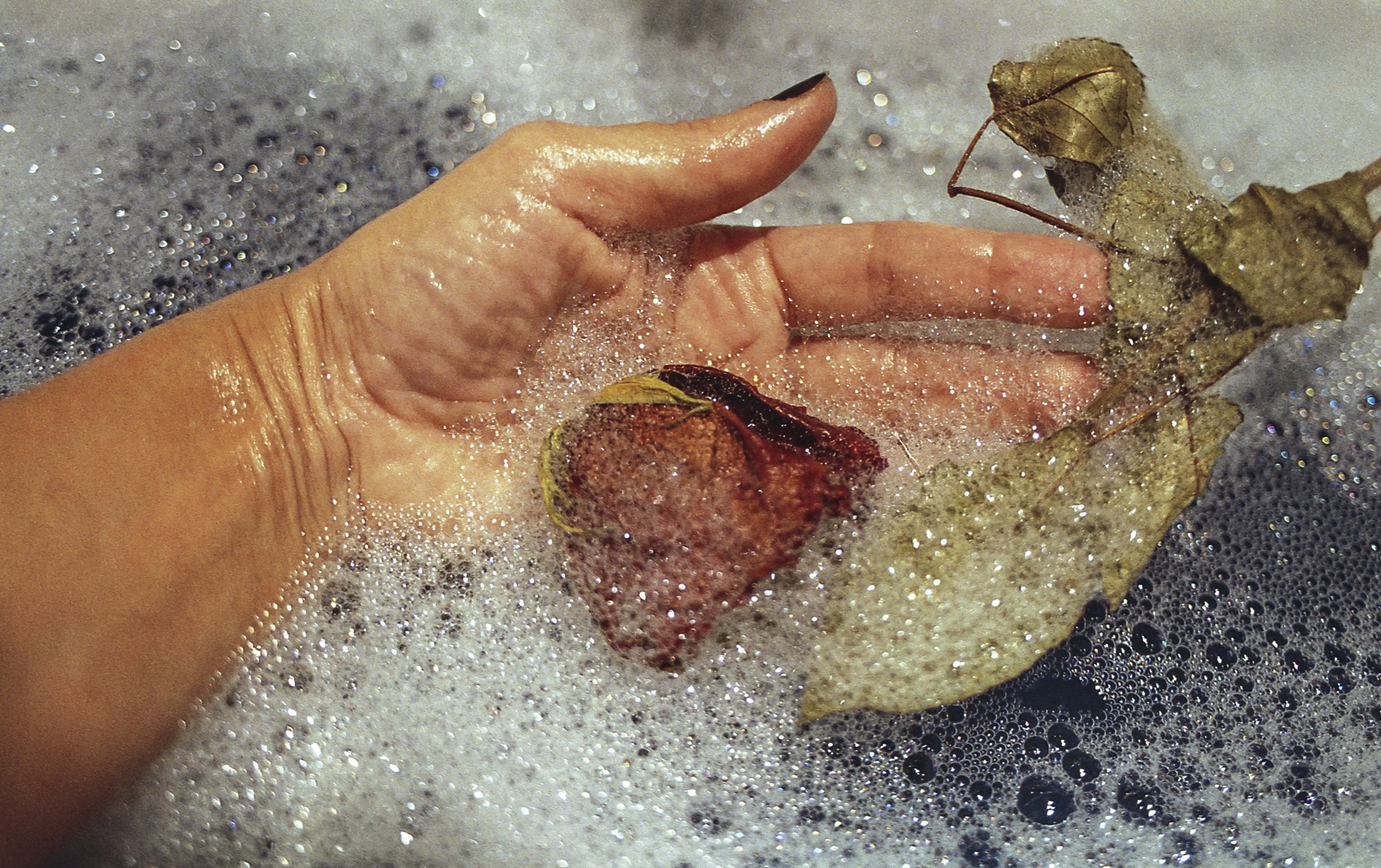 Fujicolor 200 Luces, sombras, reflejos. Autorretrato