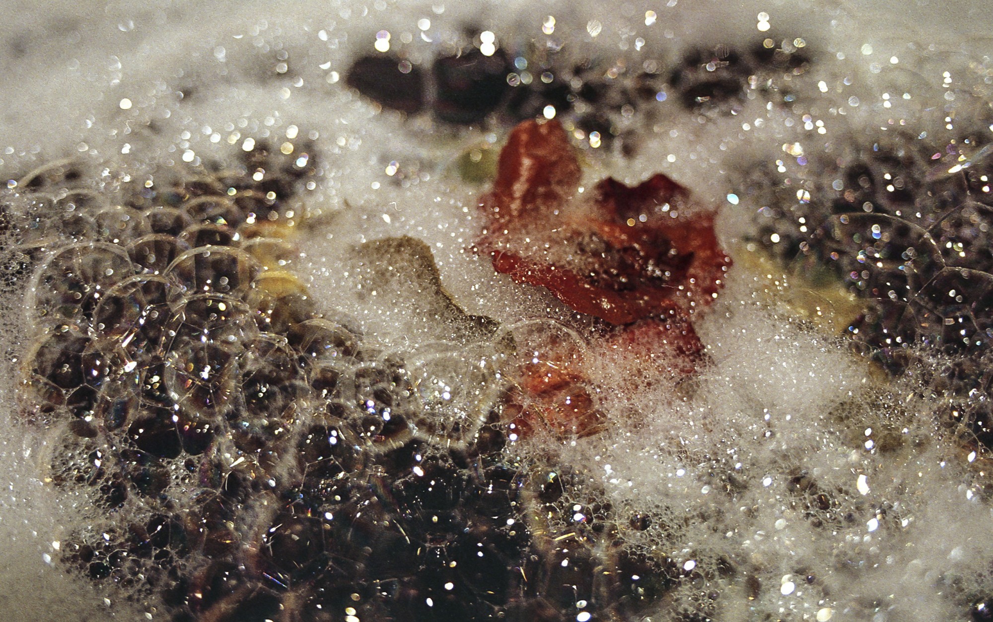 Fujicolor 200 Luces, sombras, reflejos.