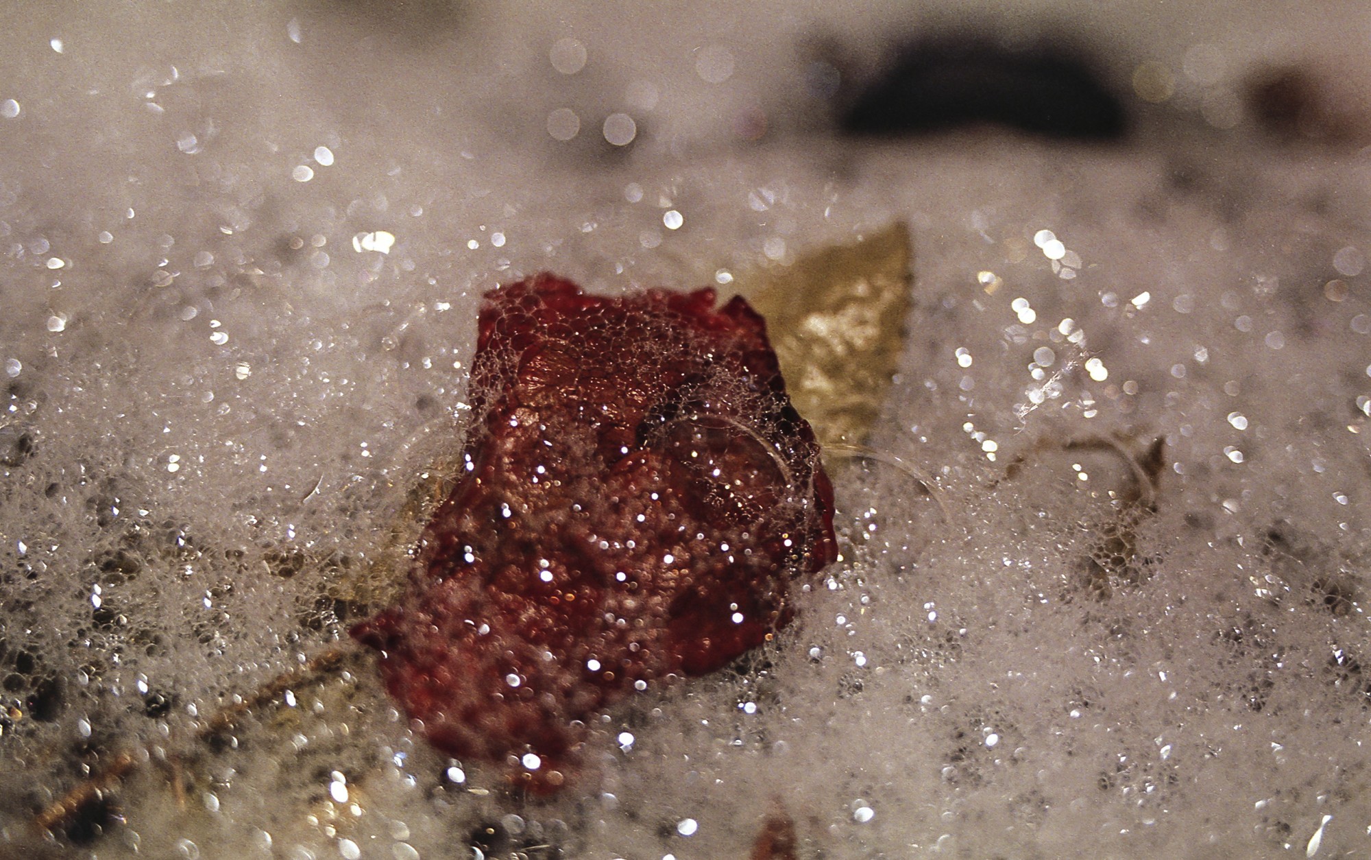 Fujicolor 200 Luces, sombras, reflejos.