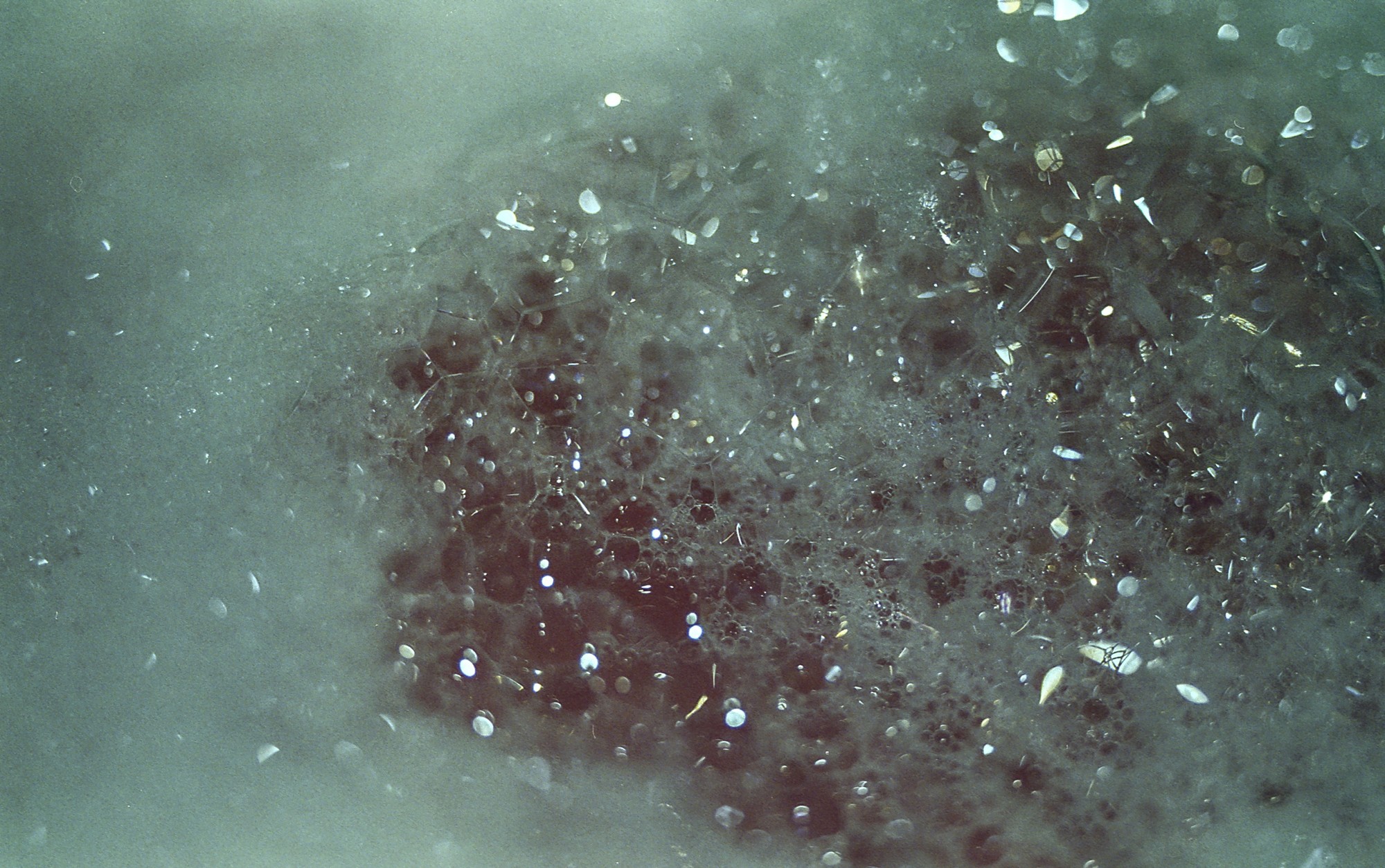 Fujicolor 200 Luces, sombras, reflejos.