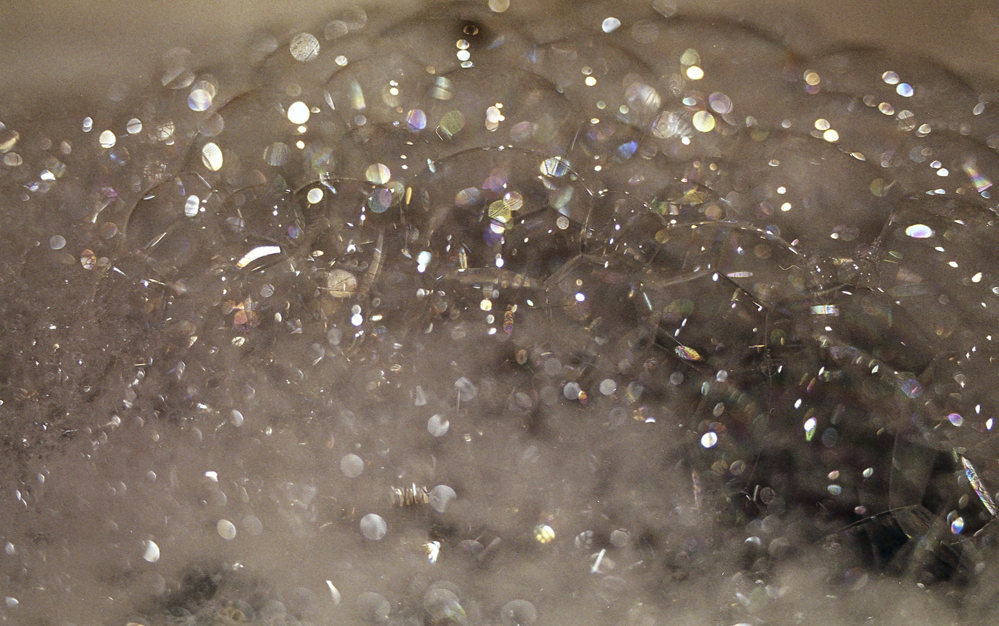 Fujicolor 200 Luces, sombras, reflejos.