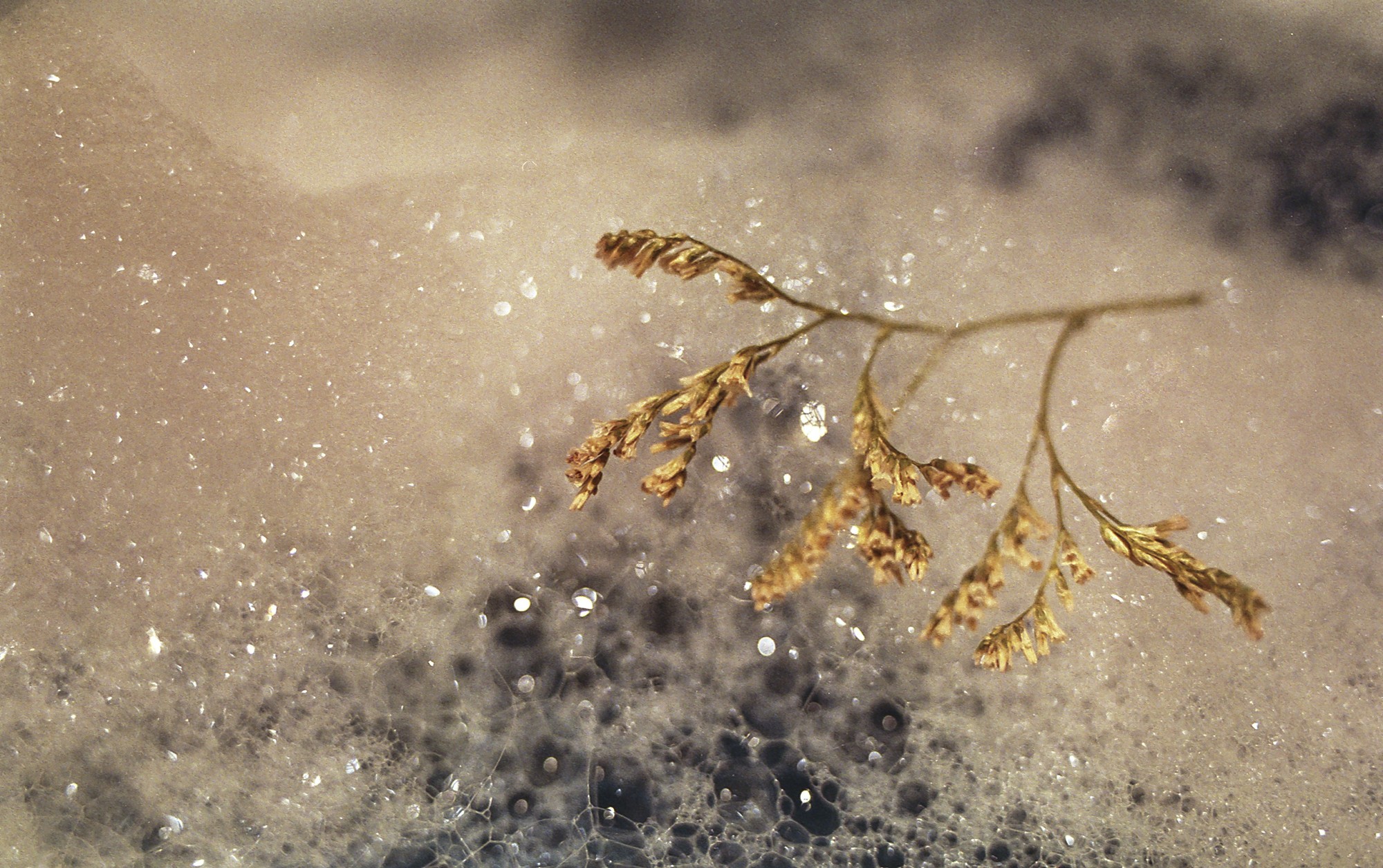 Fujicolor 200 Luces, sombras, reflejos.