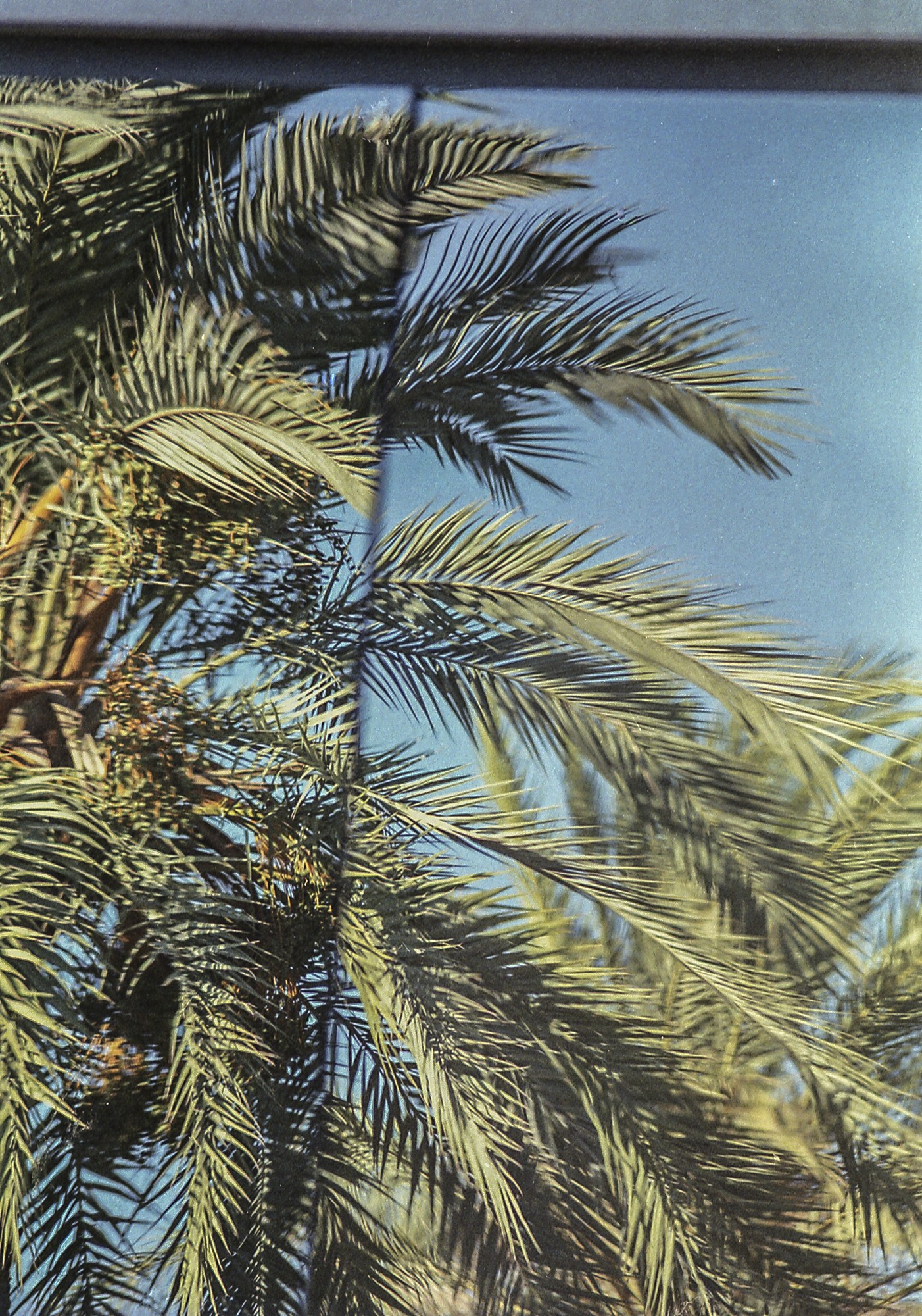 Fujicolor 200 Luces, sombras, reflejos.