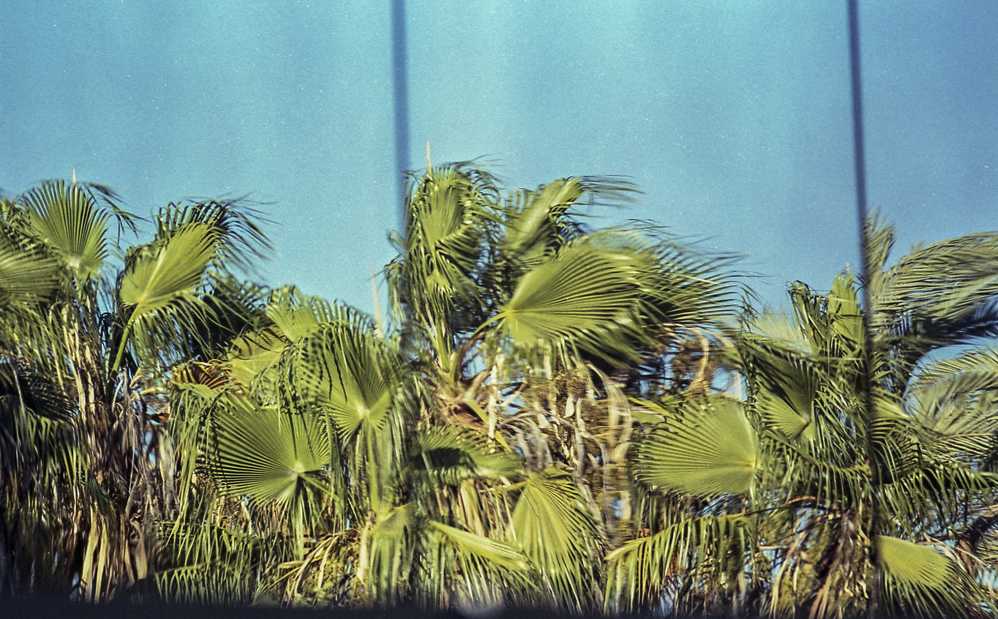 Fujicolor 200 Luces, sombras, reflejos.