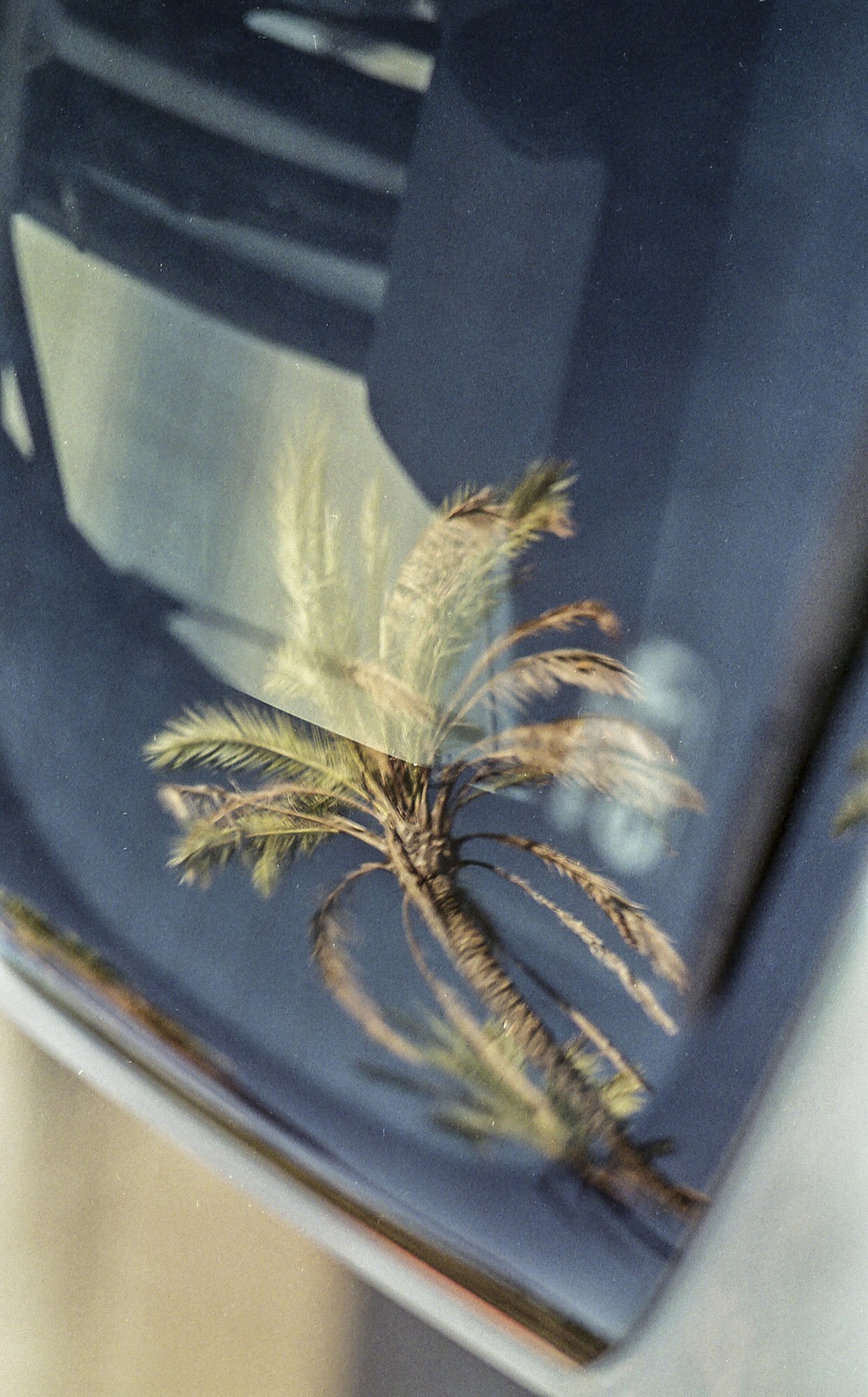 Fujicolor 200 Luces, sombras, reflejos.