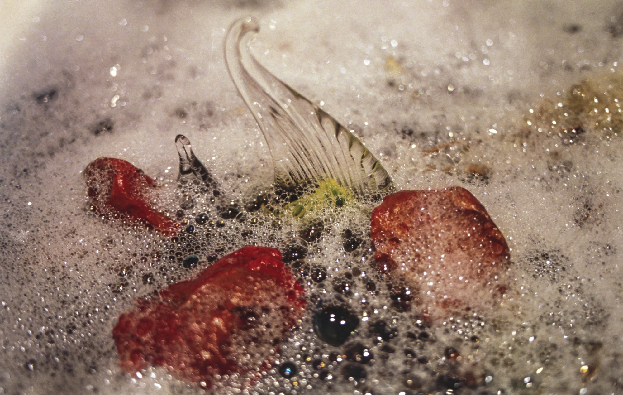 Fujicolor 200 Luces, sombras, reflejos.