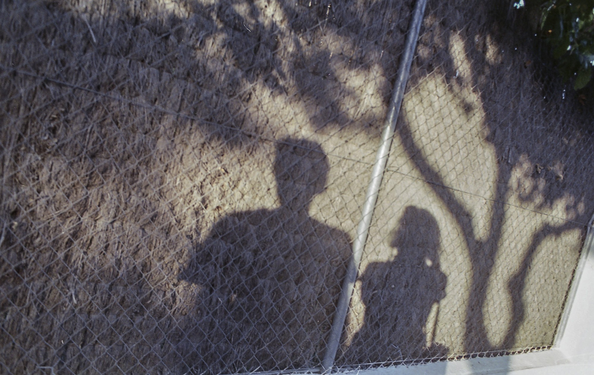 Fujicolor 200 Luces, sombras, reflejos. Autorretrato.