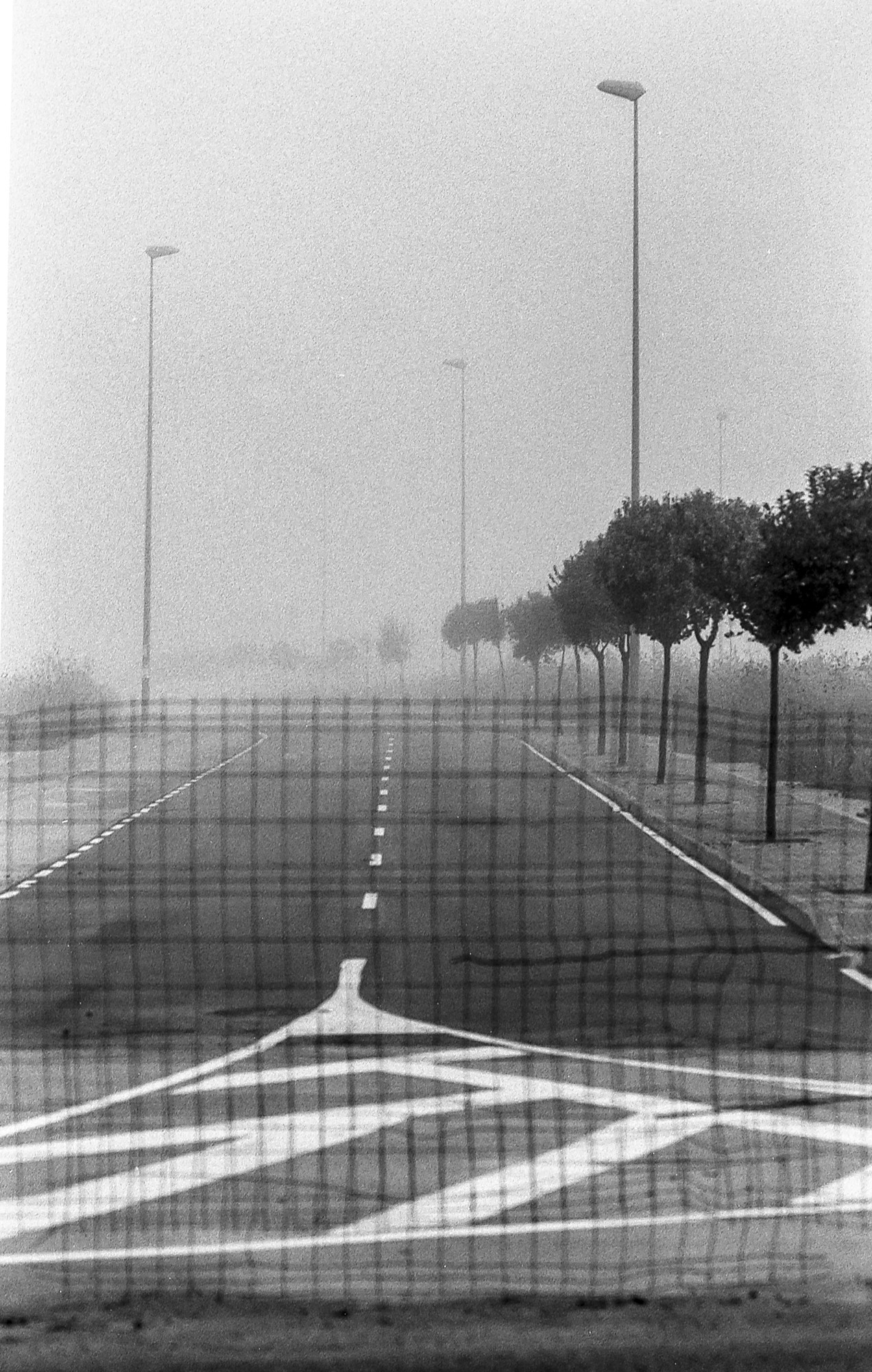 Niebla, analógico y otros seres.