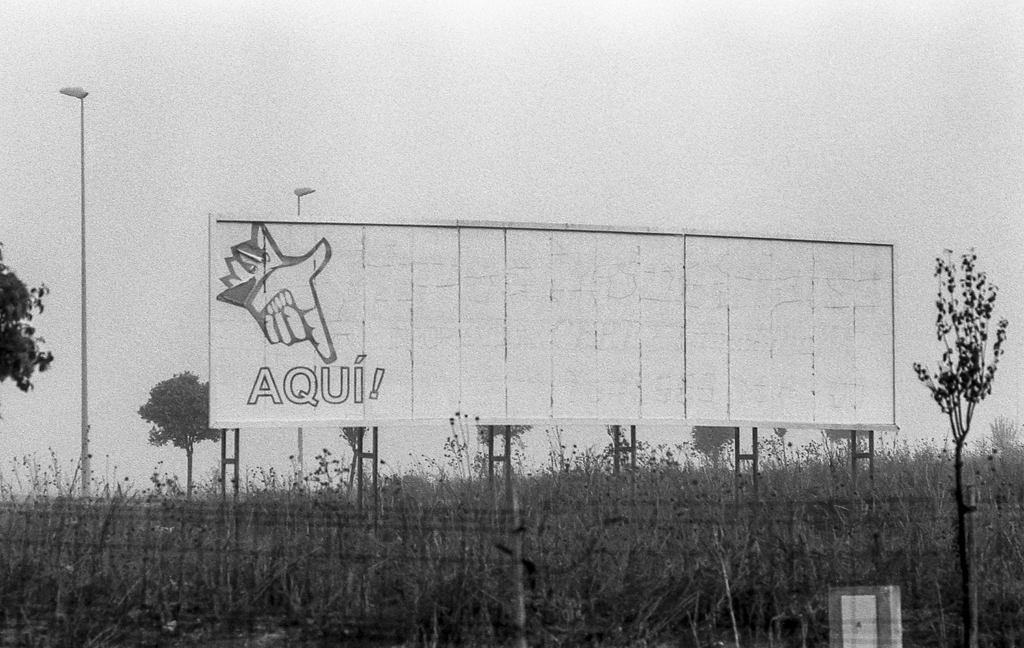 Niebla, analógico y otros seres.