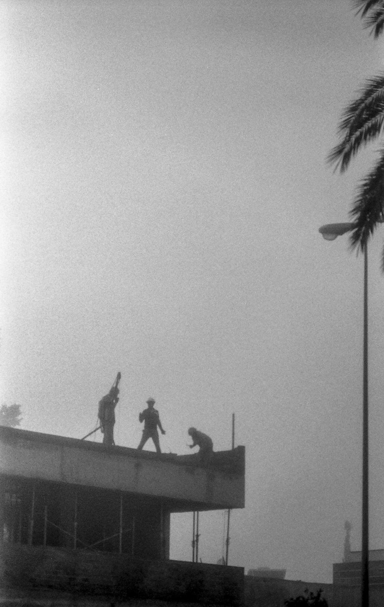 Niebla, analógico y otros seres.