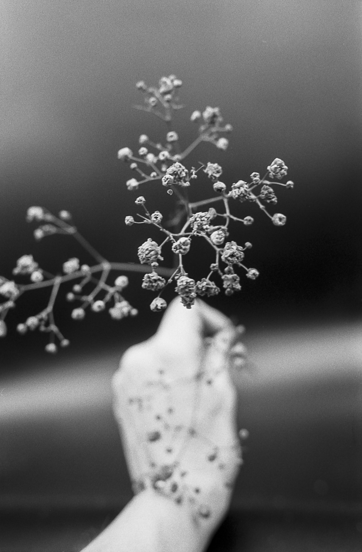 Primavera en 35 mm (Autorretrato)