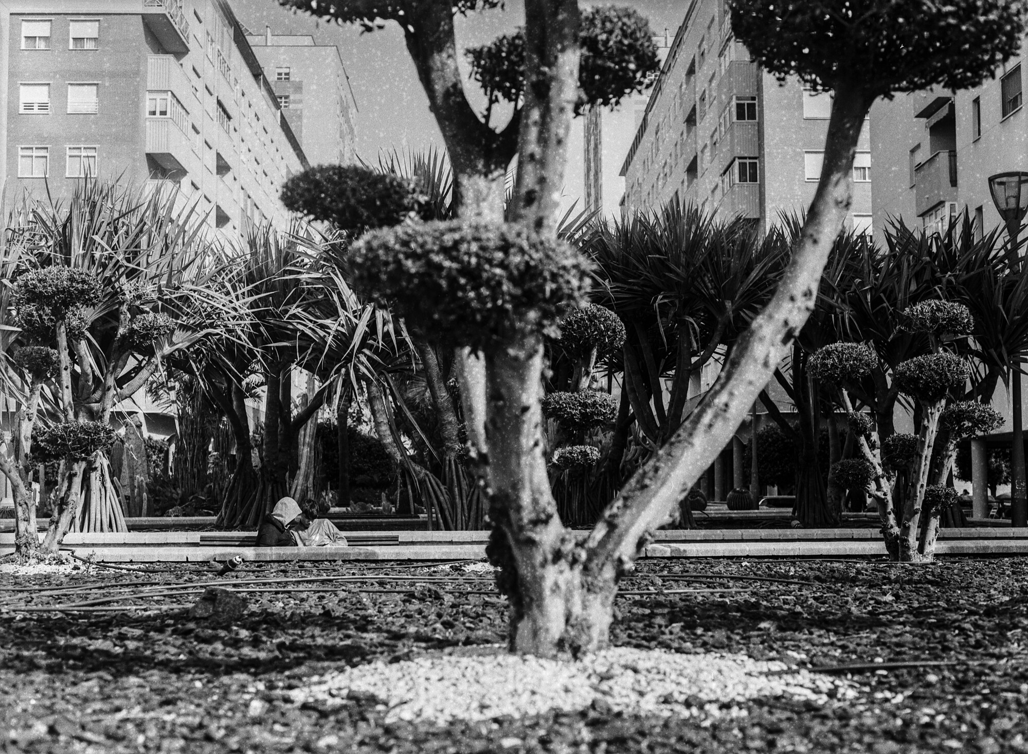 ILFORD 120 MAL ESTADO