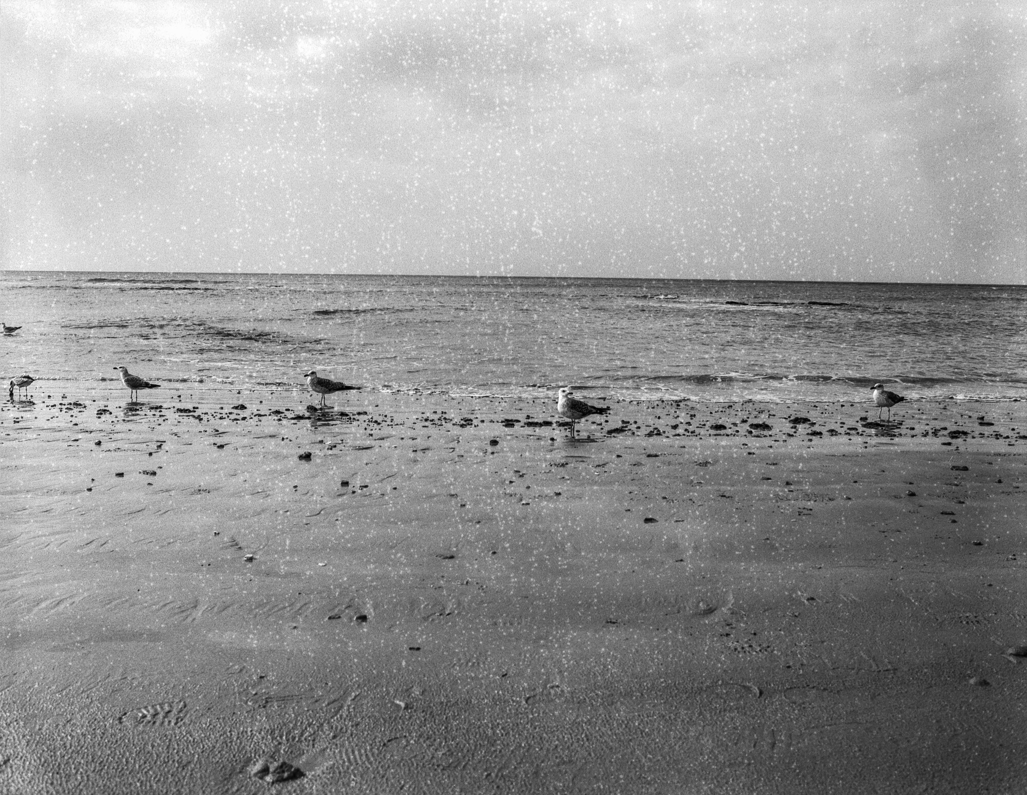 ILFORD 120 MAL ESTADO