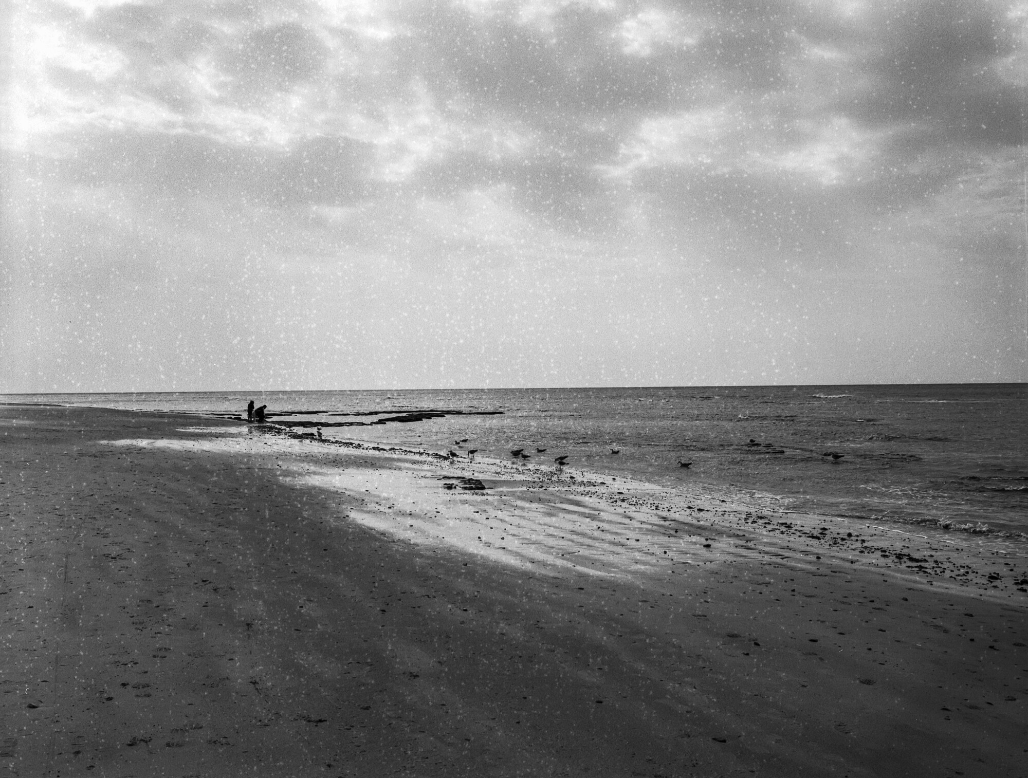 ILFORD 120 MAL ESTADO