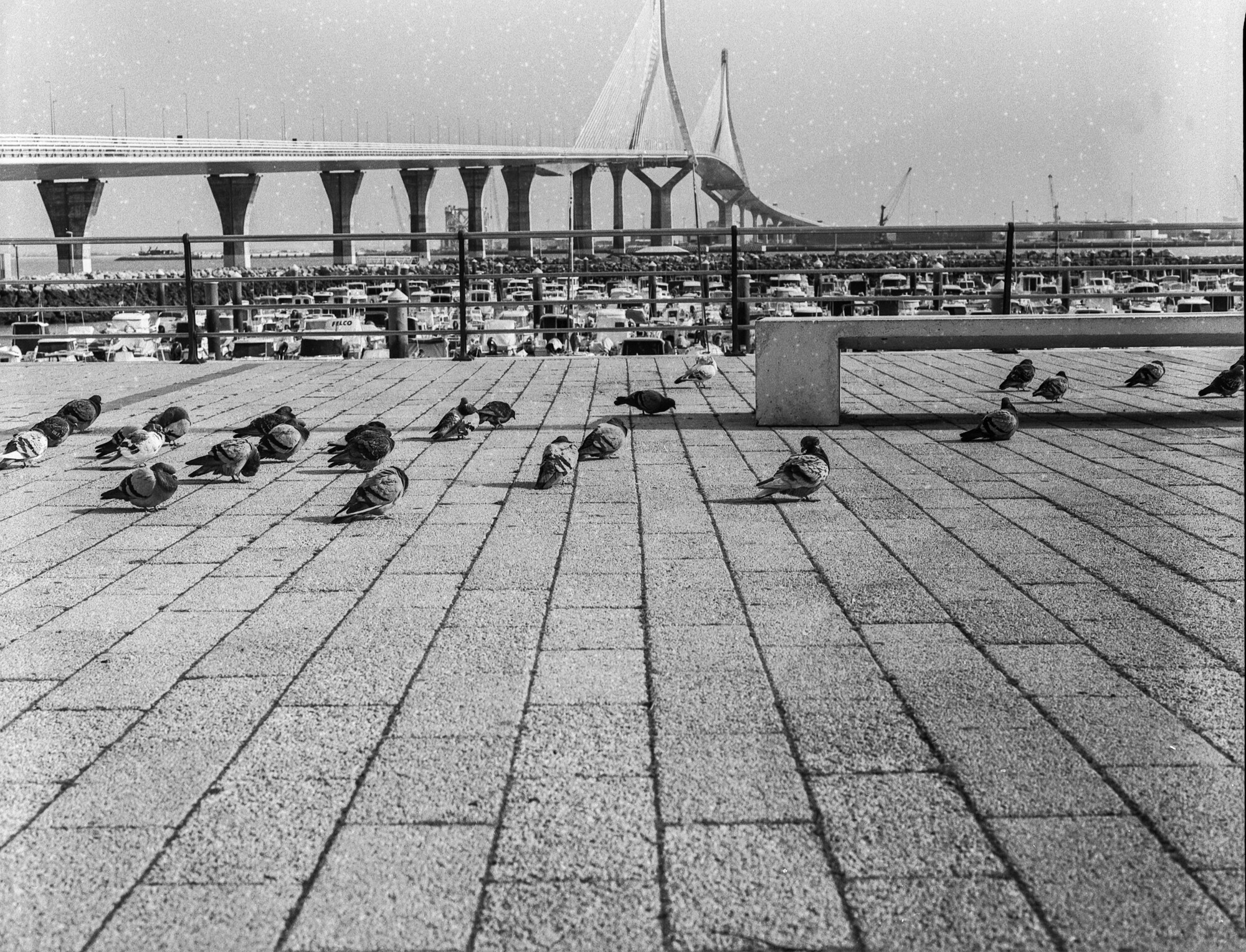 ILFORD 120 MAL ESTADO