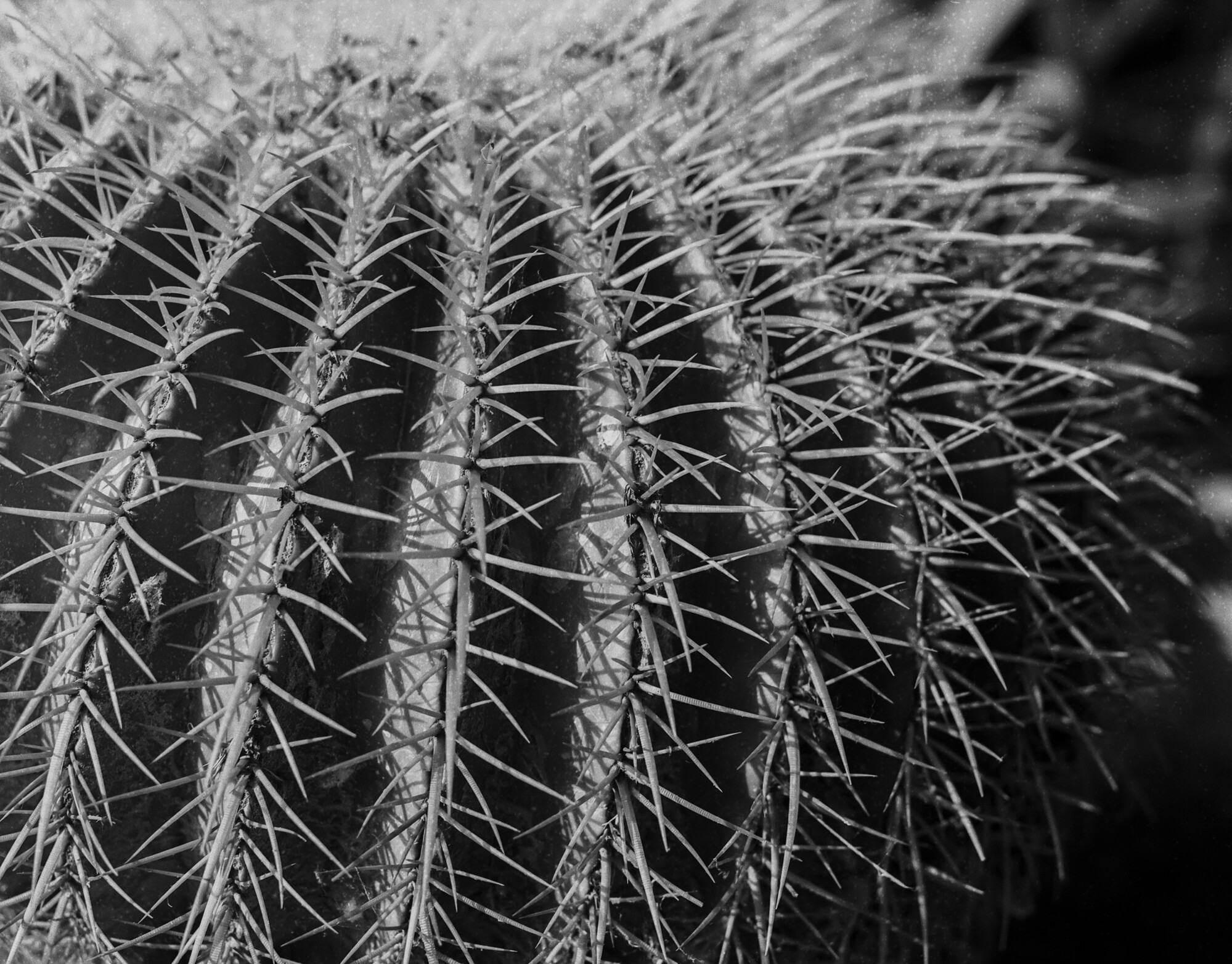 ILFORD 120 MAL ESTADO