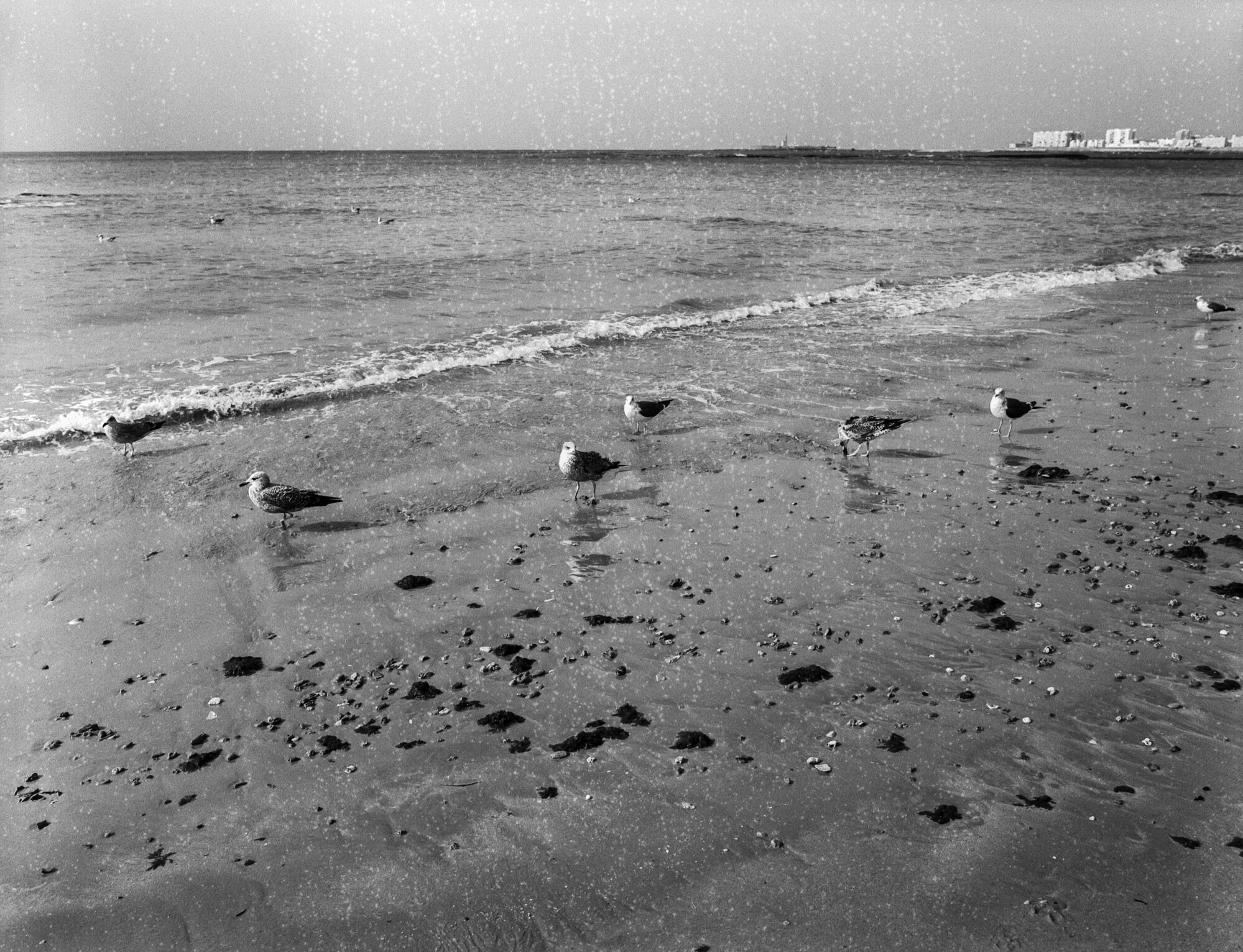 ILFORD 120 MAL ESTADO