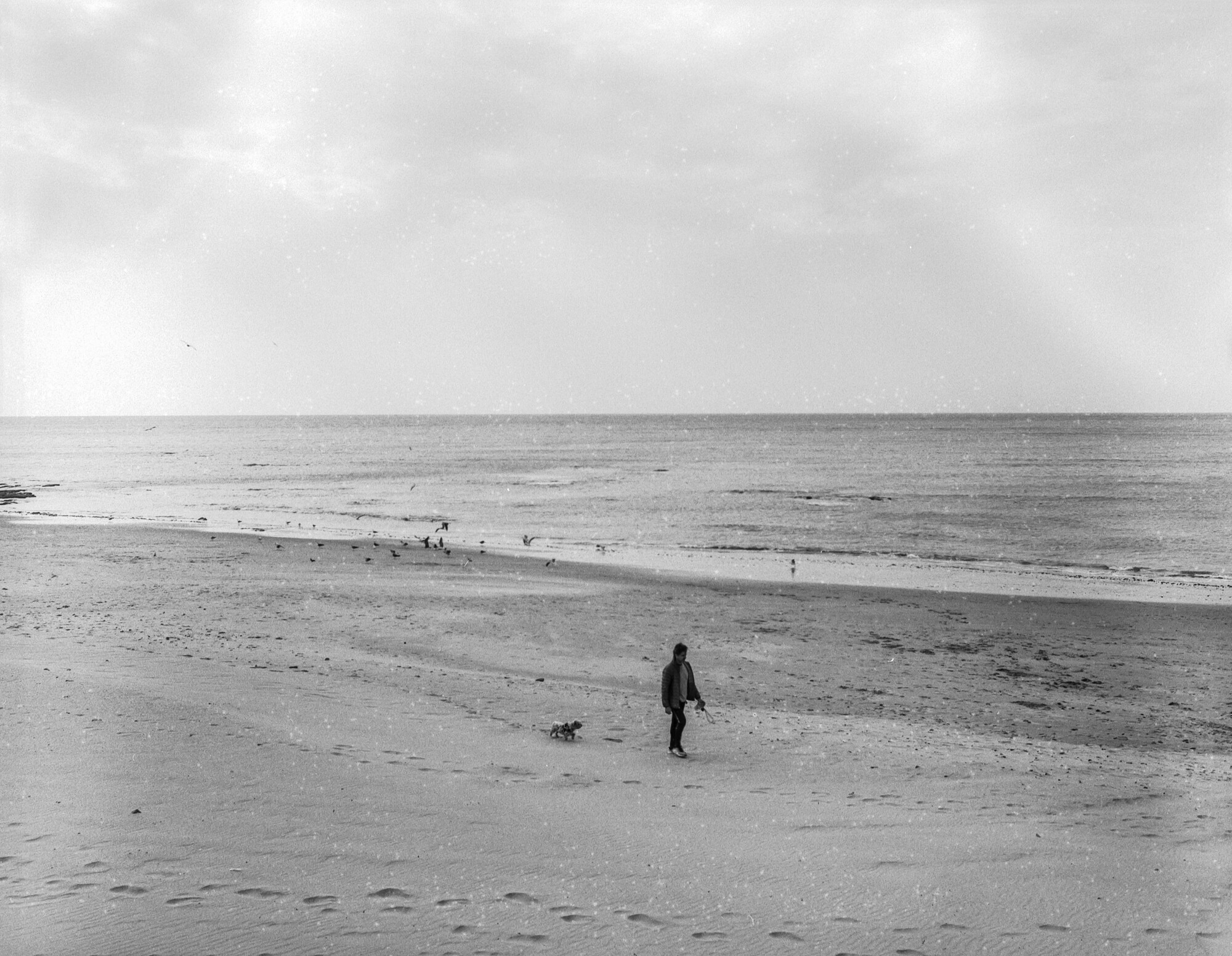 ILFORD 120 MAL ESTADO