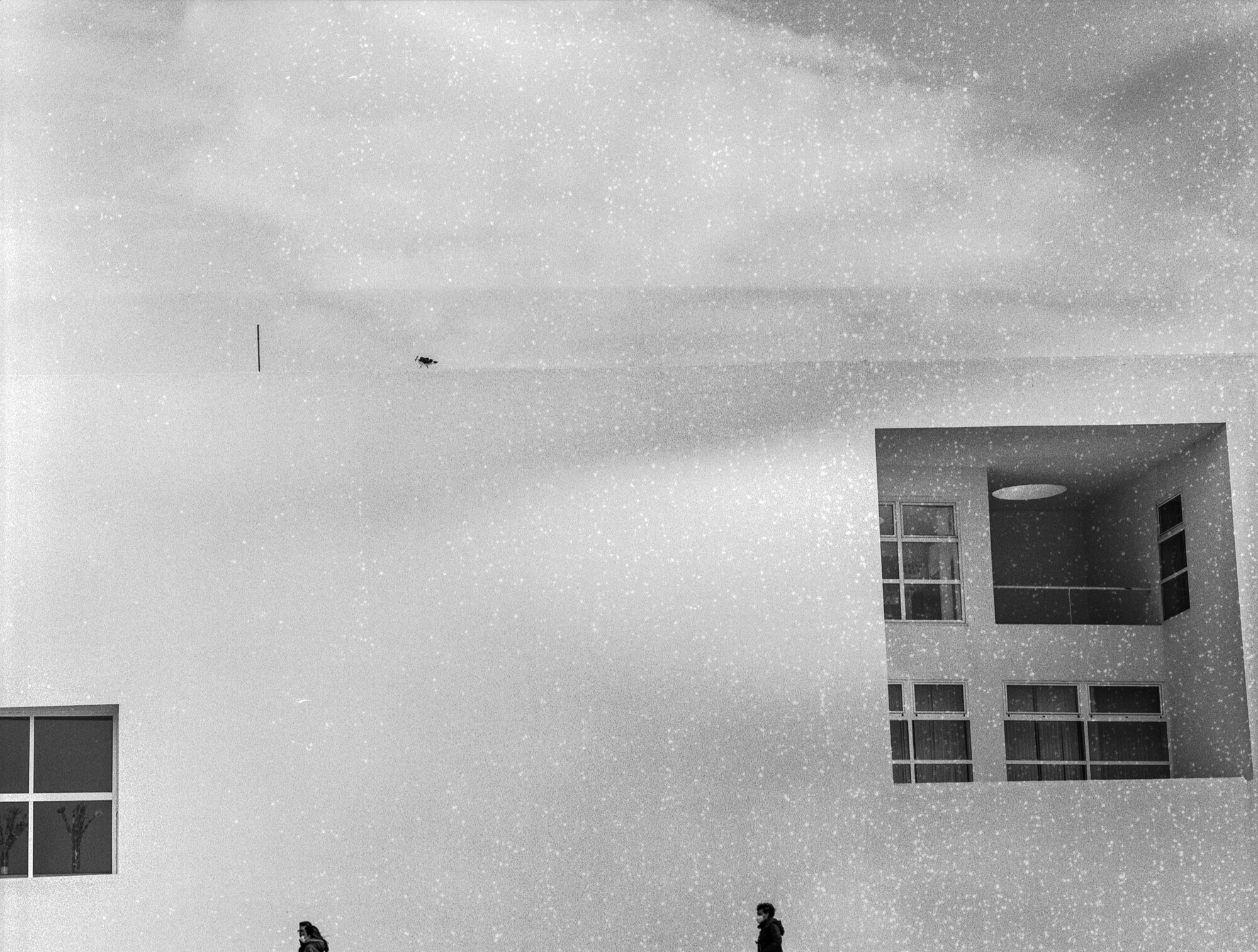 ILFORD 120 MAL ESTADO