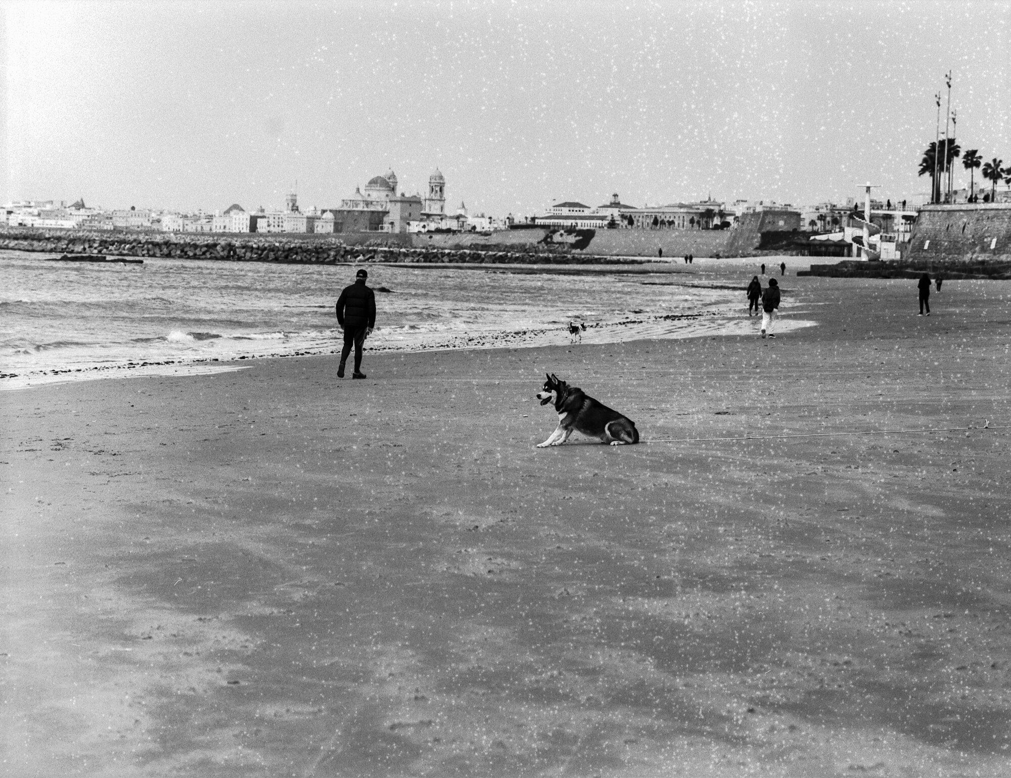 ILFORD 120 MAL ESTADO